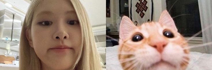 jeahyun_j's profile banner image