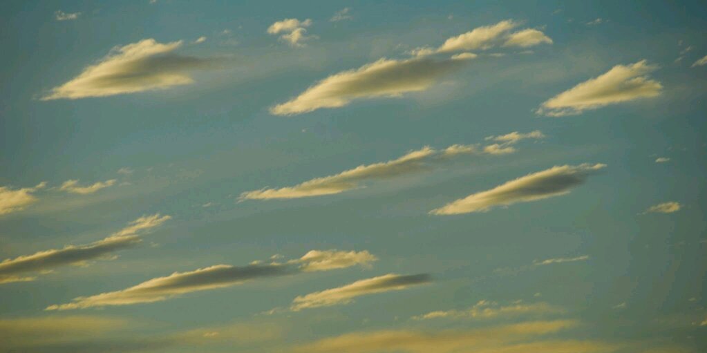 ShakyT1M's profile banner image