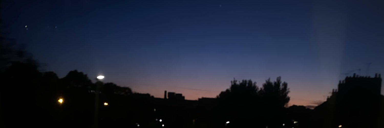 SRochelleB's profile banner image