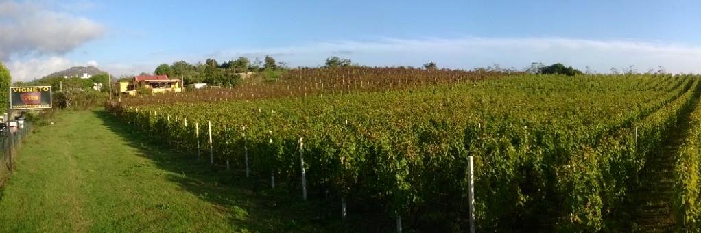 cantinefarro's profile banner image