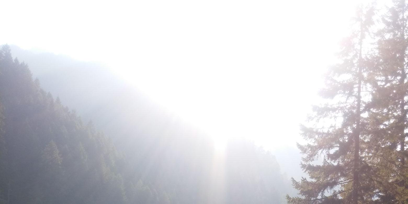 xist01's profile banner image