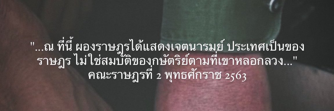 TEE_Otter banner