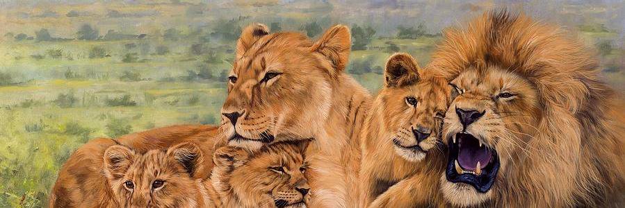 Sukhmeet Panesar banner