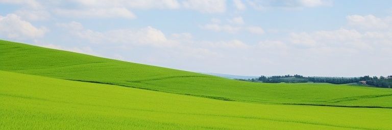 uhuy banner