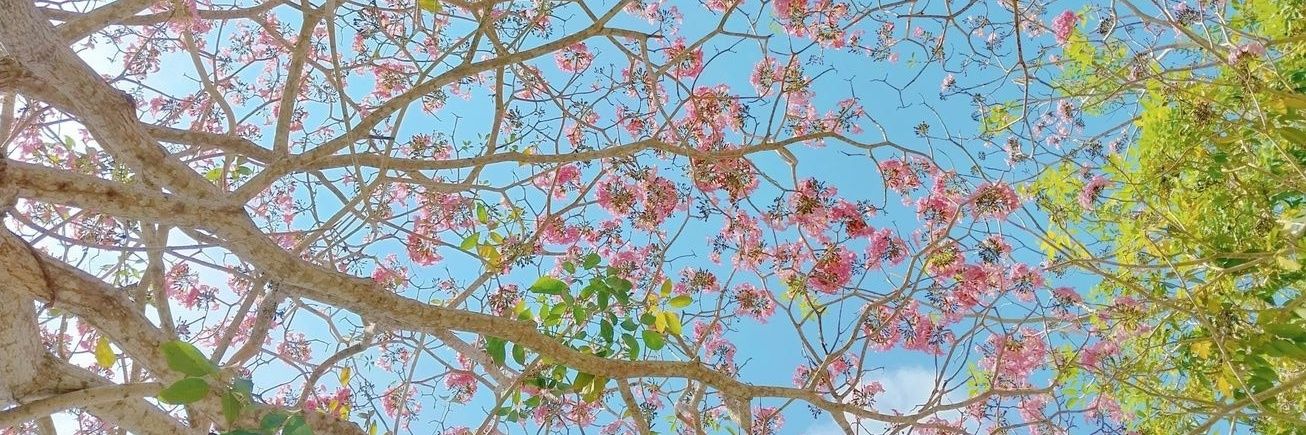 Sandyvtll's profile banner image