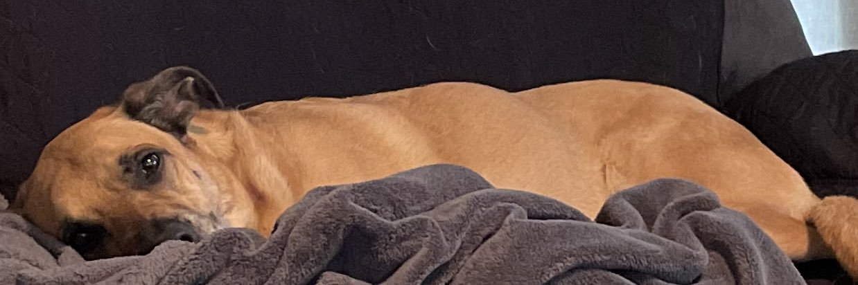 JackJackHTP's profile banner image