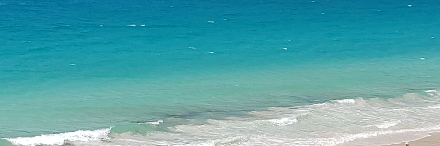 mfsbaiao's profile banner image