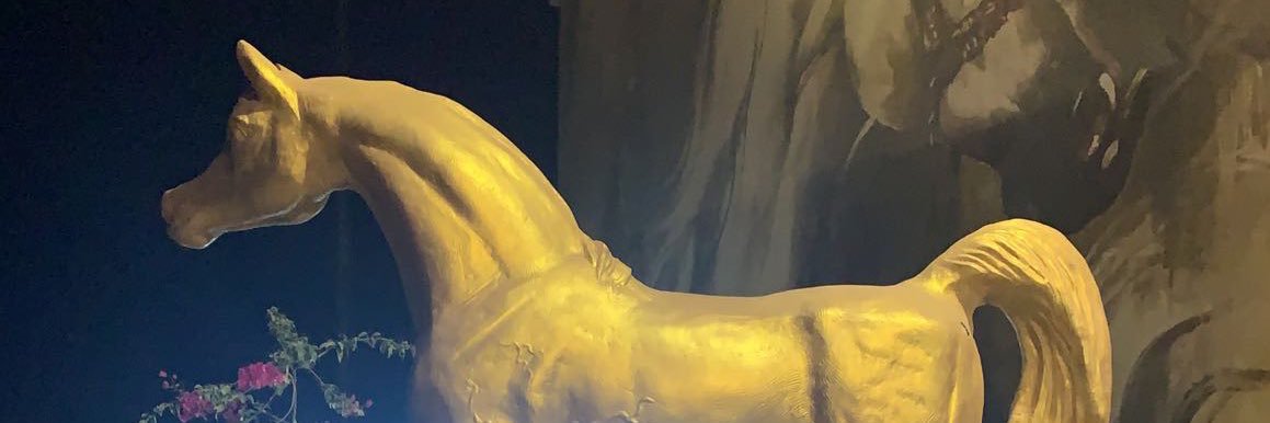 سطام الرويشد banner