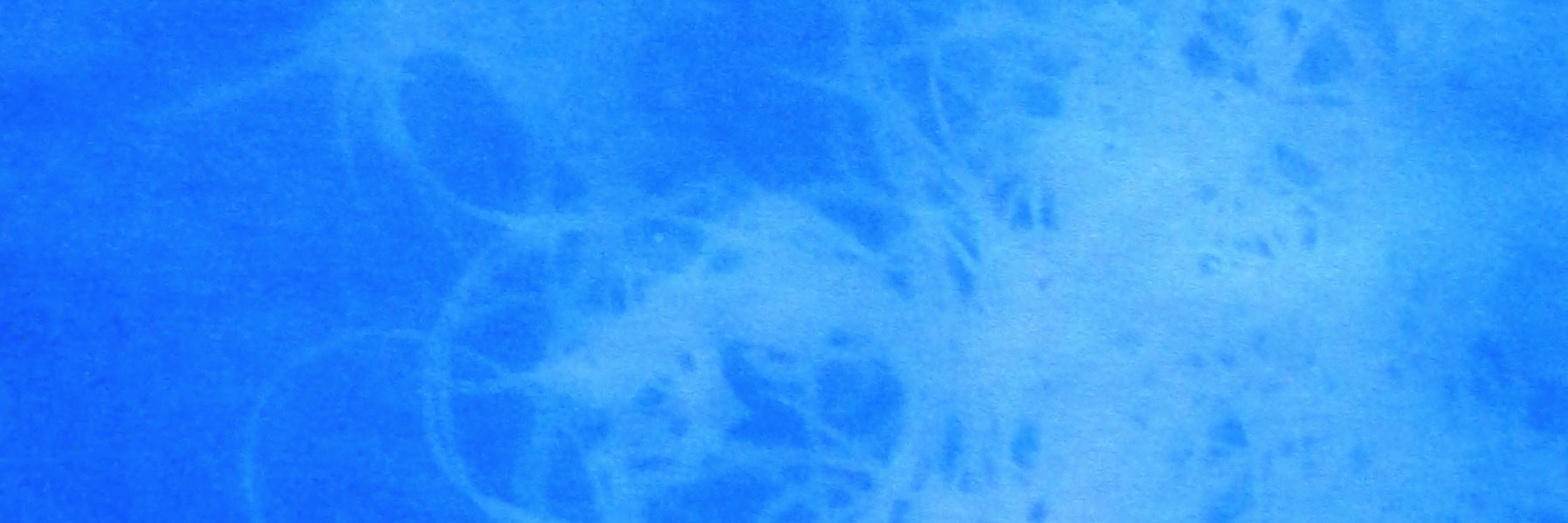 Jo Dacombe 💙 banner