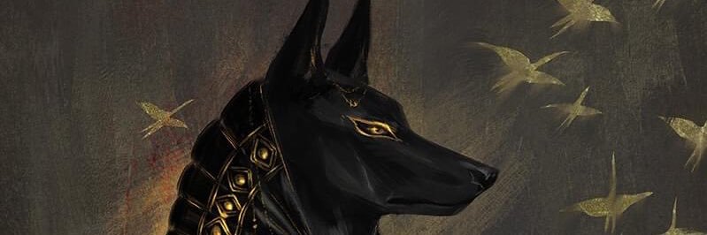 wesleyrdr's profile banner image