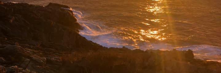 ManoftheBeach55's profile banner image