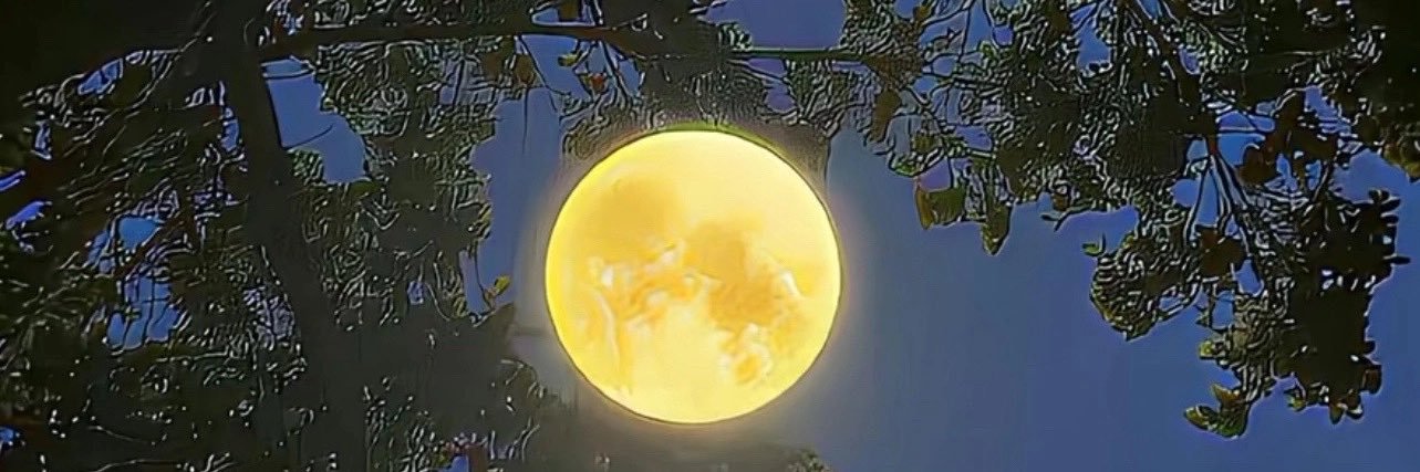 wish20242's profile banner image