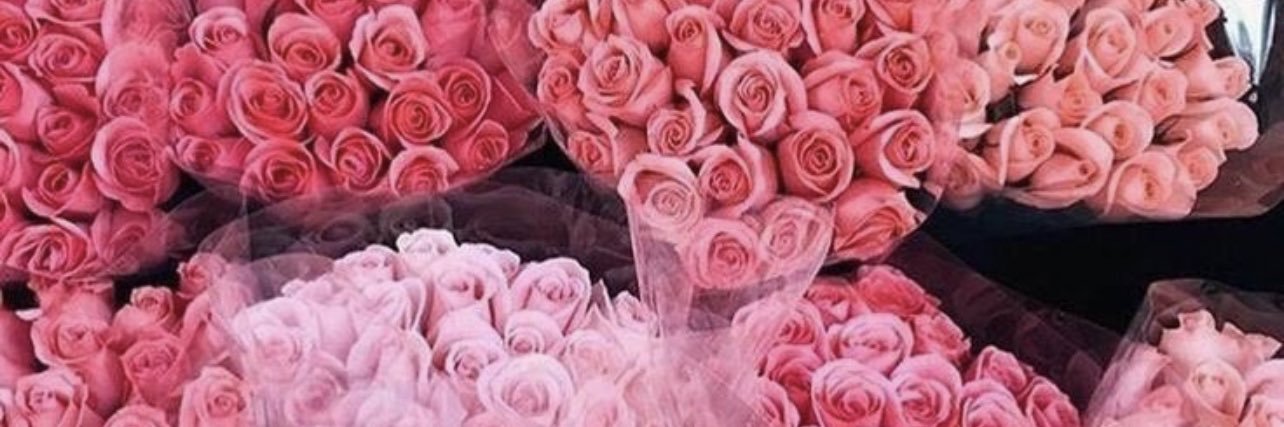 loveshayla__'s profile banner image