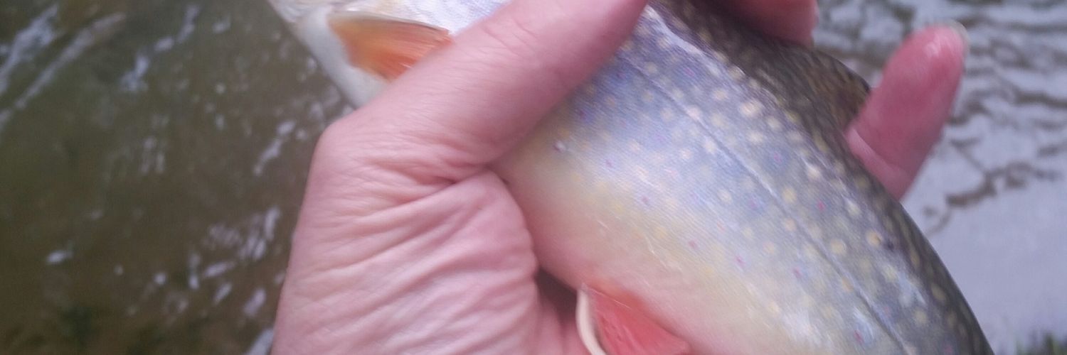 MichaelFDavid2's profile banner image