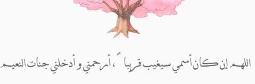 Haifaals994's profile banner image