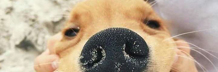 kristelldh's profile banner image