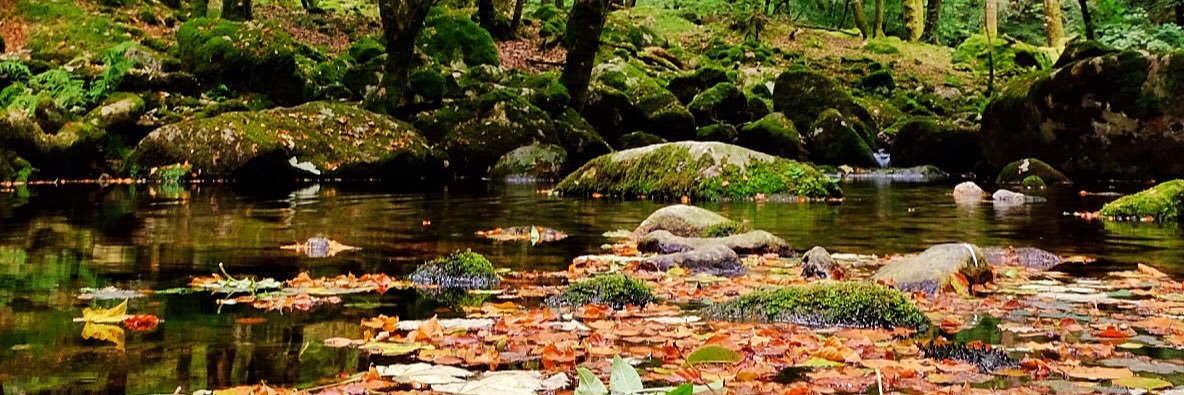 punc_kin's profile banner image