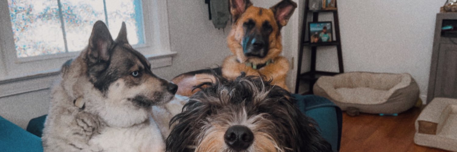 mrsgalui's profile banner image