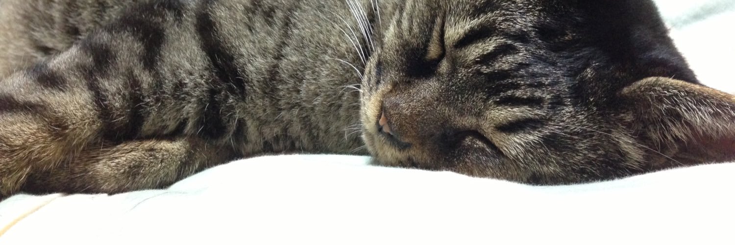 __maaaaaaaaaa's profile banner image