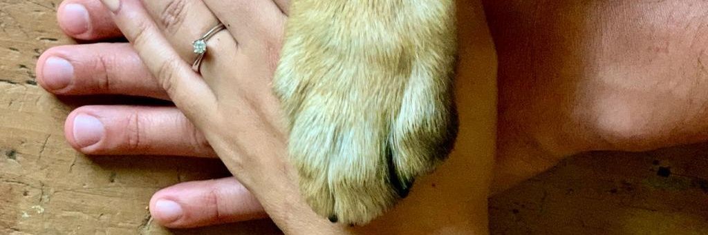 CesarPaz12's profile banner image
