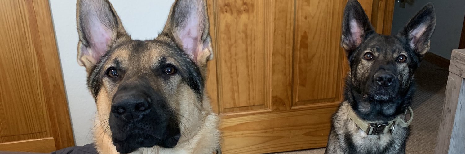 forgivenbear's profile banner image