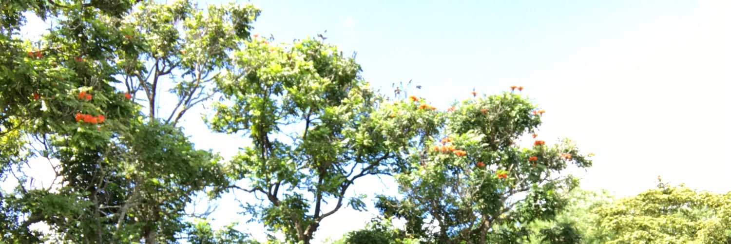 elijah_bastien's profile banner image
