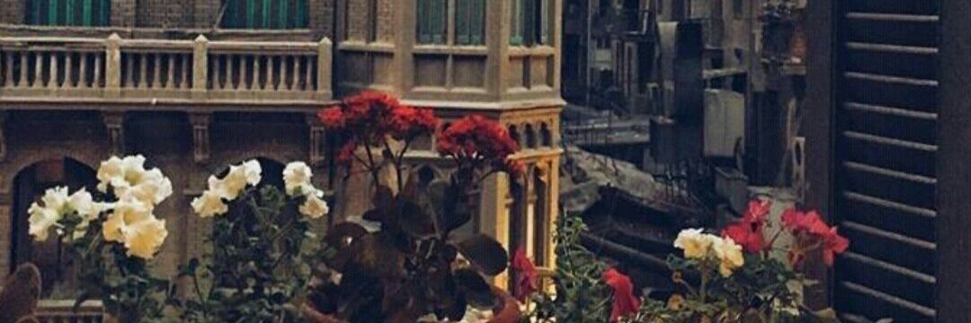 RowanAhmed25's profile banner image