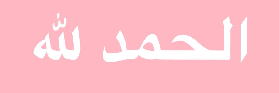 koala_mss's profile banner image