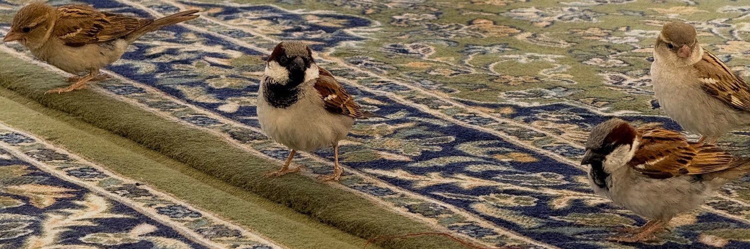 ياقوت🇸🇦 banner