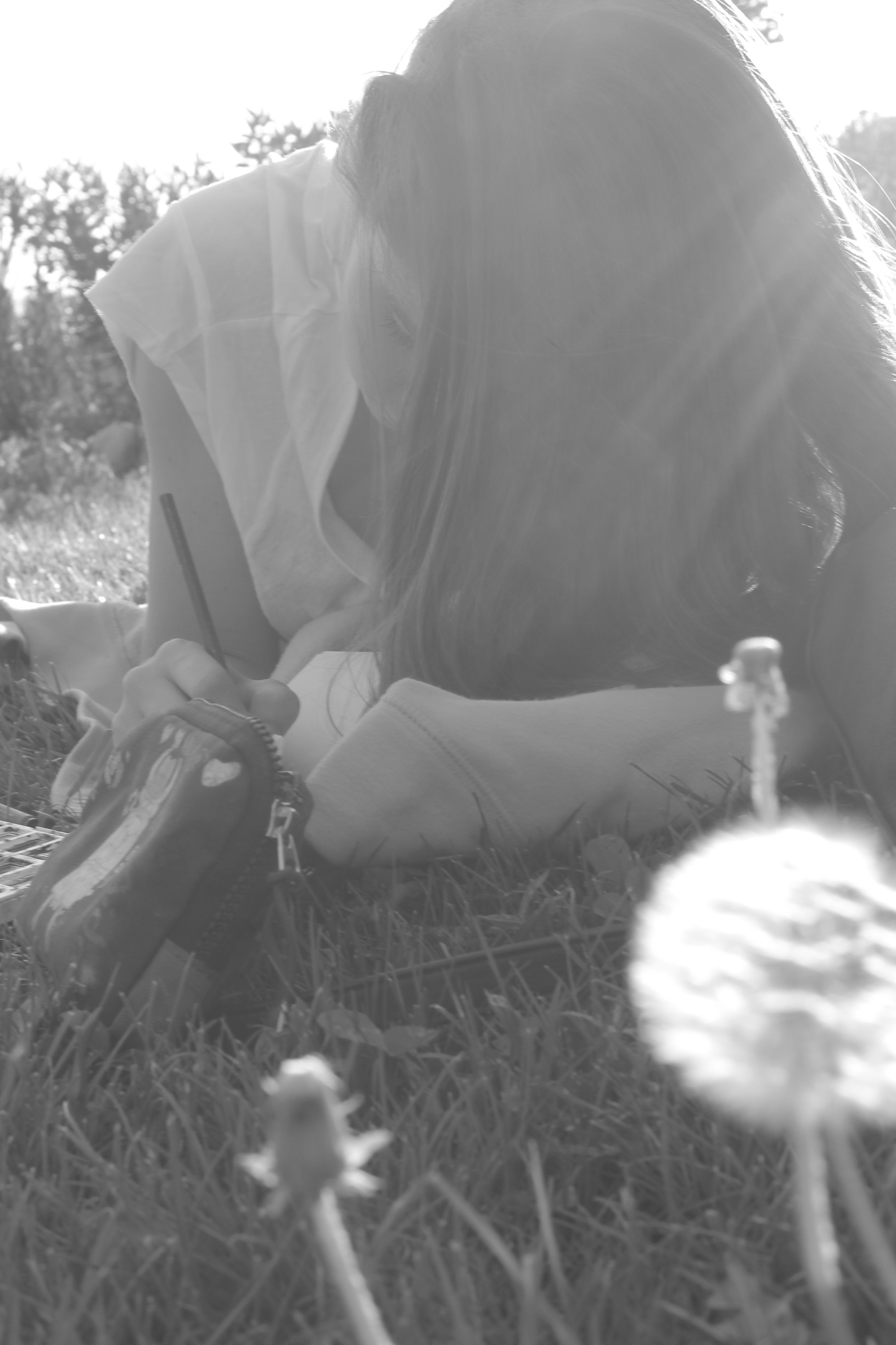 GometVerd's profile banner image