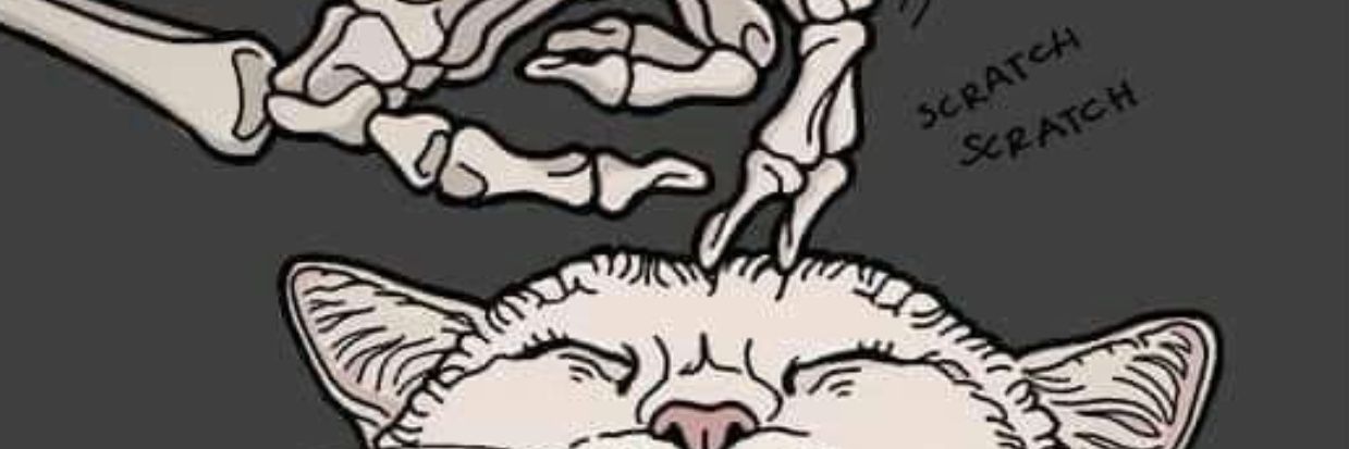 Djmchicken's profile banner image