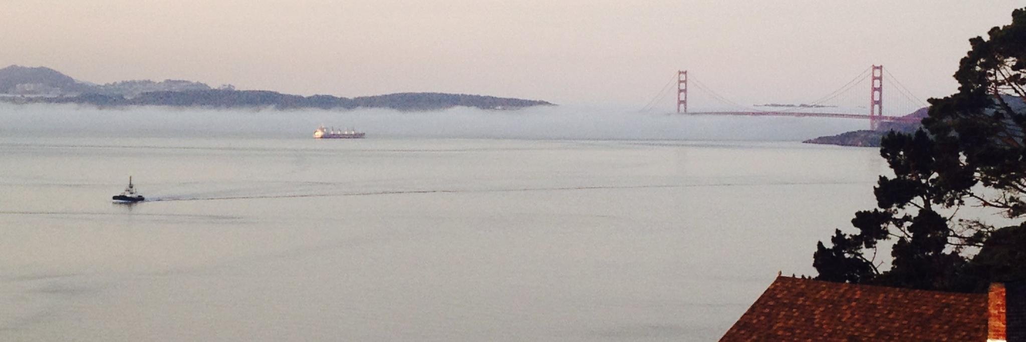 Alyene Schneidewind banner