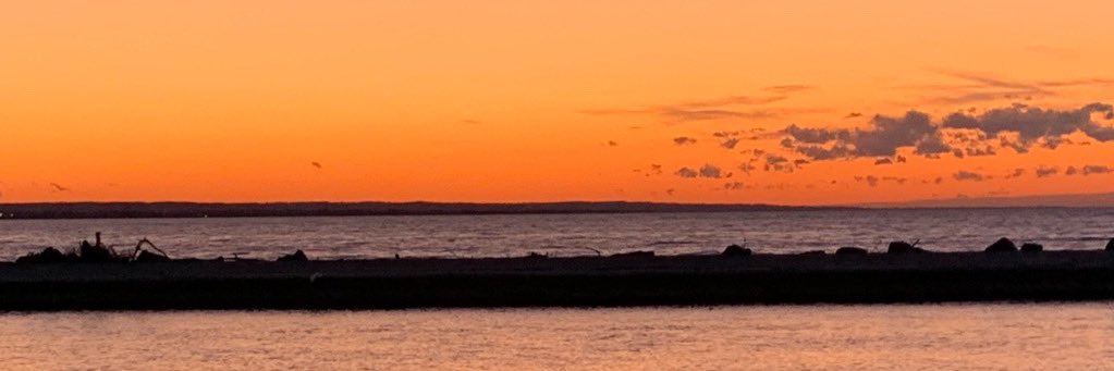 angeleembrown1's profile banner image