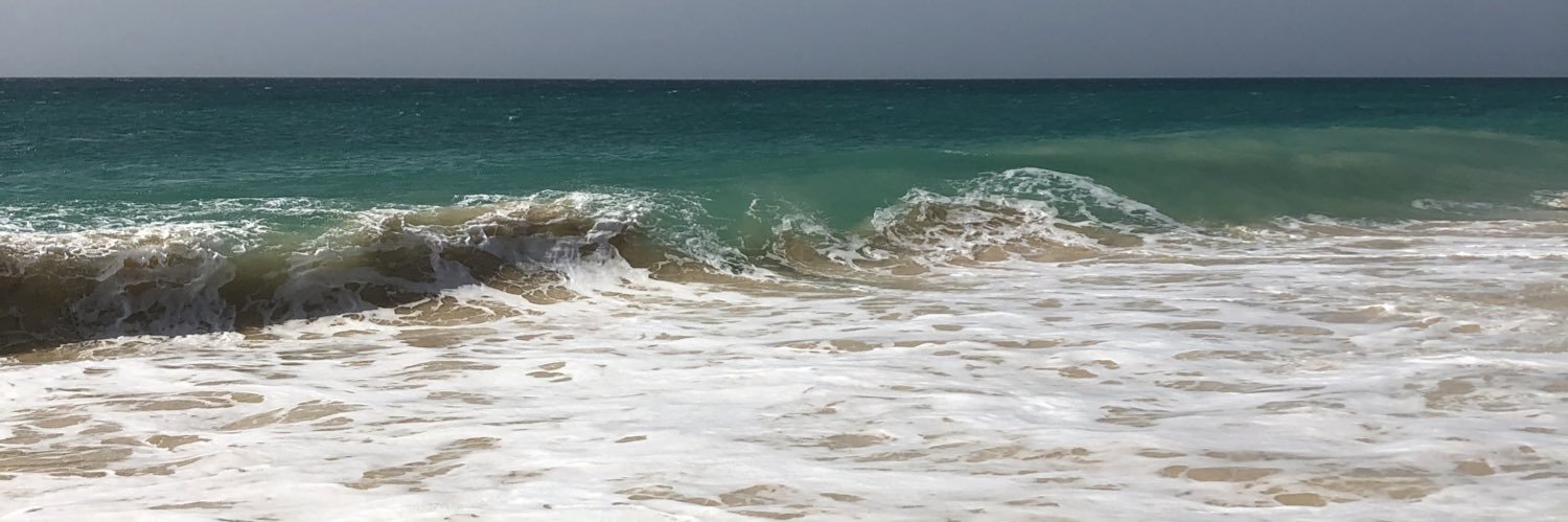 hanloumarsh_'s profile banner image