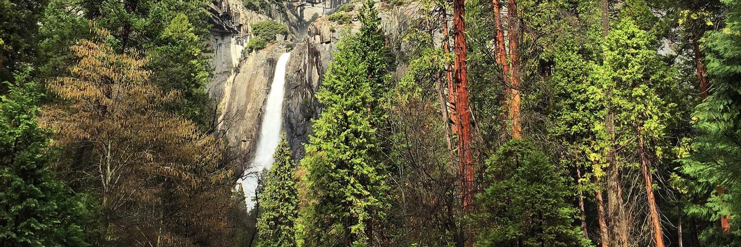 Becky Somerville (Witzman) banner