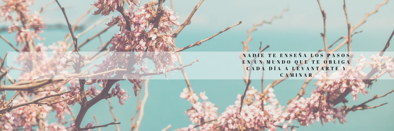 Maceci25's profile banner image