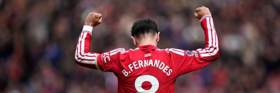 toroifernandes's profile banner image