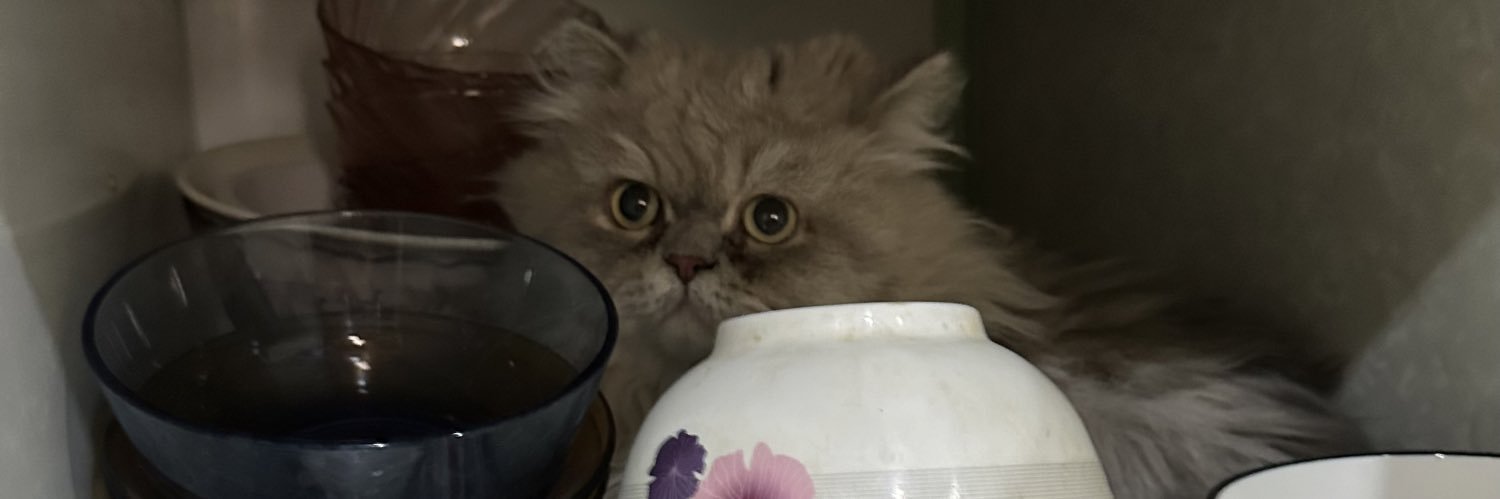 Ed | Biida Bash is out!! banner