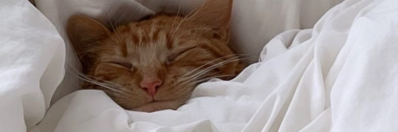 𝖒𝖆𝖗𝖎 banner