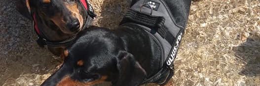 maxbianki's profile banner image