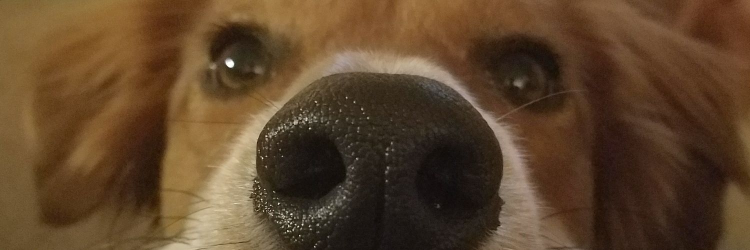 K_Dubs91's profile banner image