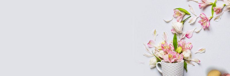 Bernadetta A. Ginting-Szczesny banner