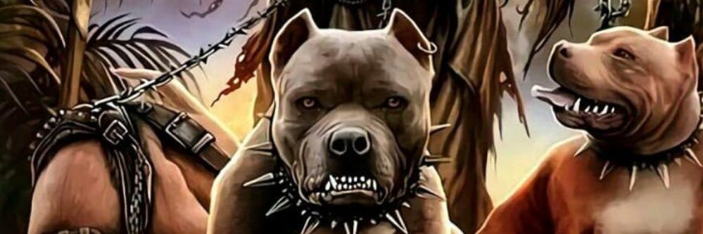 jenjo475's profile banner image
