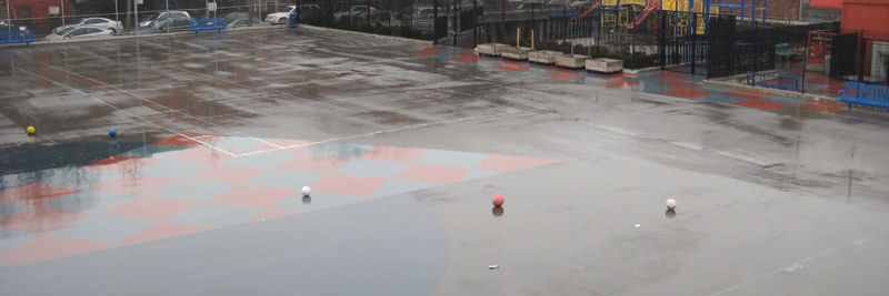 NYCPUBLICSCHOOL banner