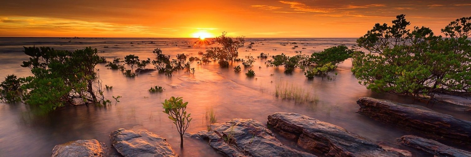 BorderAustralia's profile banner image
