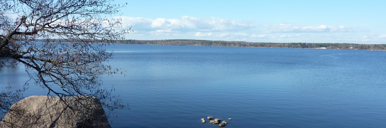 Igor Delanoë banner