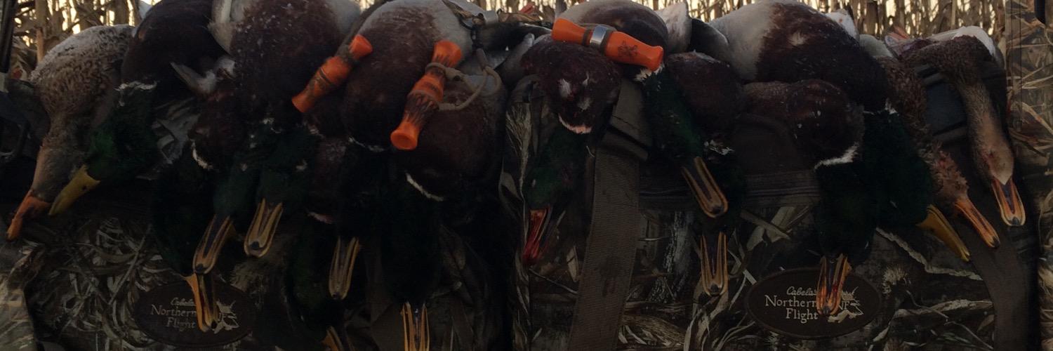 tanner_snell's profile banner image