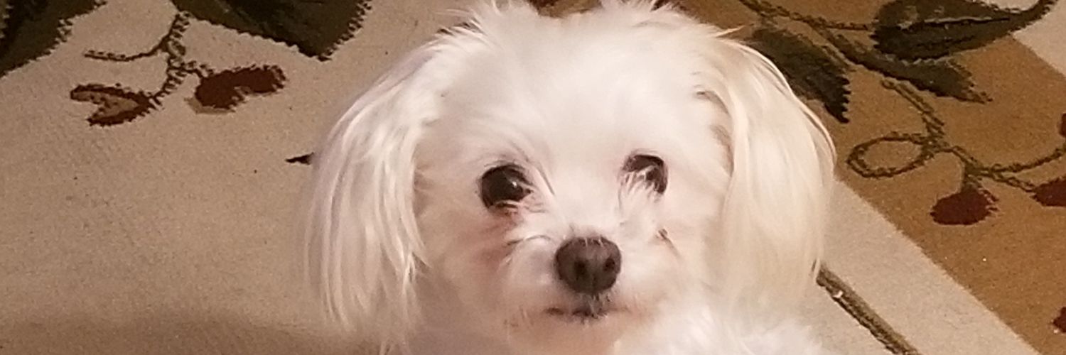 milthapill's profile banner image