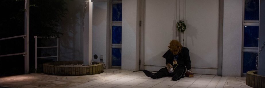 wolfOwolfs's profile banner image