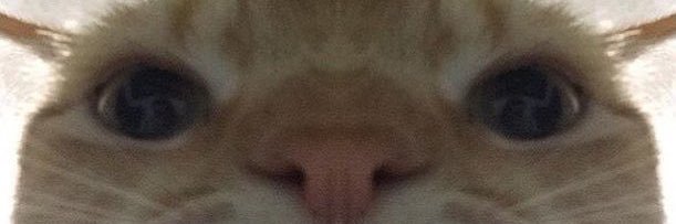 dnnocampo's profile banner image